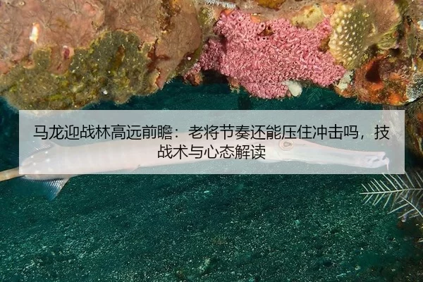 马龙迎战林高远前瞻：老将节奏还能压住冲击吗，技战术与心态解读