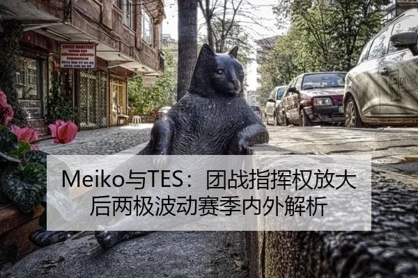 Meiko与TES：团战指挥权放大后两极波动赛季内外解析